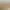 https://shared.akamai.steamstatic.com/store_item_assets/steam/apps/1918880/header.jpg?t=1740739055