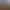The Lost Condor - Walking Simulator.