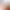 https://shared.akamai.steamstatic.com/store_item_assets/steam/apps/1924170/header.jpg?t=1732874595