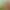https://shared.akamai.steamstatic.com/store_item_assets/steam/apps/1931990/header.jpg?t=1746720133