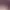 https://shared.akamai.steamstatic.com/store_item_assets/steam/apps/1935080/header.jpg?t=1741073792