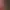 https://shared.akamai.steamstatic.com/store_item_assets/steam/apps/1940880/header.jpg?t=1745696509