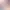 https://shared.akamai.steamstatic.com/store_item_assets/steam/apps/1953780/header.jpg?t=1725000964