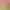 https://shared.akamai.steamstatic.com/store_item_assets/steam/apps/1958950/header.jpg?t=1748452719