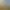 Blacksmith Simulator.