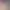 https://shared.akamai.steamstatic.com/store_item_assets/steam/apps/1961950/header.jpg?t=1715703386