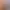 https://shared.akamai.steamstatic.com/store_item_assets/steam/apps/1966660/header.jpg?t=1719305358