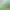 https://shared.akamai.steamstatic.com/store_item_assets/steam/apps/1970820/header.jpg?t=1727122047