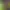 https://shared.akamai.steamstatic.com/store_item_assets/steam/apps/1971790/header.jpg?t=1657747977