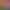 https://shared.akamai.steamstatic.com/store_item_assets/steam/apps/1973010/header.jpg?t=1706876076
