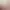 https://shared.akamai.steamstatic.com/store_item_assets/steam/apps/1977660/header.jpg?t=1739229529