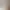 https://shared.akamai.steamstatic.com/store_item_assets/steam/apps/1985810/header.jpg?t=1731607699