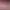 https://shared.akamai.steamstatic.com/store_item_assets/steam/apps/1988620/header.jpg?t=1659290633