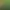 https://shared.akamai.steamstatic.com/store_item_assets/steam/apps/1991820/header.jpg?t=1750326914