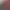 https://shared.akamai.steamstatic.com/store_item_assets/steam/apps/1997120/header.jpg?t=1683750419