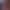 https://shared.akamai.steamstatic.com/store_item_assets/steam/apps/1998050/header.jpg?t=1733702012