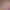 https://shared.akamai.steamstatic.com/store_item_assets/steam/apps/2008510/header.jpg?t=1726759505