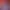 Invector: Rhythm Galaxy.