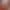 https://shared.akamai.steamstatic.com/store_item_assets/steam/apps/2010510/header.jpg?t=1745905001