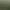 Total War: SHOGUN 2.
