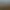 A Total War Saga: FALL OF THE SAMURAI.
