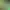 https://shared.akamai.steamstatic.com/store_item_assets/steam/apps/203990/header.jpg?t=1736842239