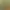 https://shared.akamai.steamstatic.com/store_item_assets/steam/apps/2051040/header.jpg?t=1687014431