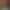 https://shared.akamai.steamstatic.com/store_item_assets/steam/apps/2054970/header.jpg?t=1732148252