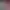 https://shared.akamai.steamstatic.com/store_item_assets/steam/apps/2061000/header.jpg?t=1722170150