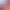 https://shared.akamai.steamstatic.com/store_item_assets/steam/apps/2062990/header.jpg?t=1726733141