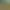 https://shared.akamai.steamstatic.com/store_item_assets/steam/apps/2063310/header_russian.jpg?t=1711114423