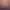 https://shared.akamai.steamstatic.com/store_item_assets/steam/apps/2065630/header.jpg?t=1671787688