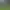 Wizard War VR.