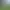 Wizard War VR.