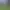 Wizard War VR.
