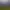 https://shared.akamai.steamstatic.com/store_item_assets/steam/apps/2067020/header.jpg?t=1744902246