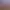https://shared.akamai.steamstatic.com/store_item_assets/steam/apps/2068980/header.jpg?t=1734939525