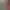 https://shared.akamai.steamstatic.com/store_item_assets/steam/apps/2075640/header.jpg?t=1746029363