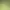 https://shared.akamai.steamstatic.com/store_item_assets/steam/apps/207690/header.jpg?t=1743605648