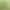 Botanicula.
