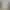 https://shared.akamai.steamstatic.com/store_item_assets/steam/apps/2077610/header.jpg?t=1671468146