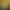 https://shared.akamai.steamstatic.com/store_item_assets/steam/apps/2078910/header.jpg?t=1738115828