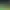 https://shared.akamai.steamstatic.com/store_item_assets/steam/apps/2080450/header.jpg?t=1733922155