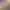 https://shared.akamai.steamstatic.com/store_item_assets/steam/apps/20820/header.jpg?t=1747697858