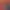 https://shared.akamai.steamstatic.com/store_item_assets/steam/apps/2082140/header.jpg?t=1665372337