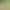 https://shared.akamai.steamstatic.com/store_item_assets/steam/apps/2082290/header.jpg?t=1662044704