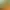 https://shared.akamai.steamstatic.com/store_item_assets/steam/apps/2085290/header.jpg?t=1749209708