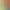 https://shared.akamai.steamstatic.com/store_item_assets/steam/apps/2085320/header.jpg?t=1682649835