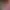 https://shared.akamai.steamstatic.com/store_item_assets/steam/apps/2088660/header.jpg?t=1724982283
