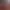 https://shared.akamai.steamstatic.com/store_item_assets/steam/apps/2097550/header.jpg?t=1717457109
